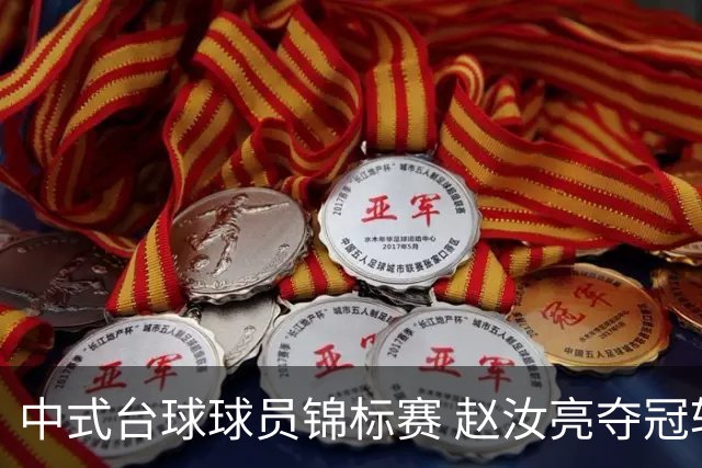 中式台球球员锦标赛 赵汝亮夺冠斩获百万奖金