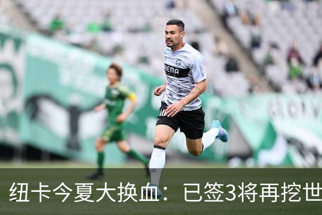 纽卡今夏大换血：已签3将再挖世界杯国脚，托纳利替身浮现
