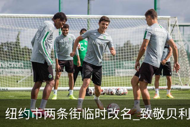 纽约市两条街临时改名 致敬贝利与亨利